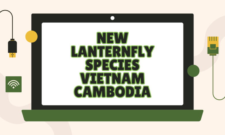 new lanternfly species vietnam cambodia